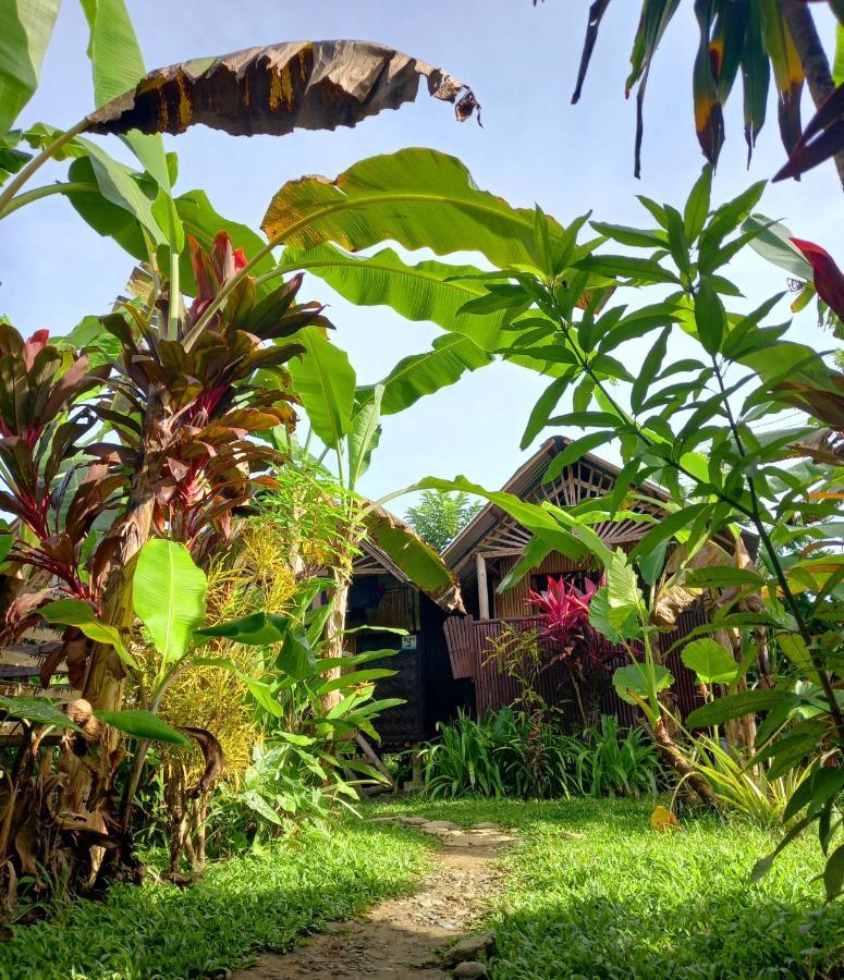 Banana Grove El Nido 호텔 외부 사진