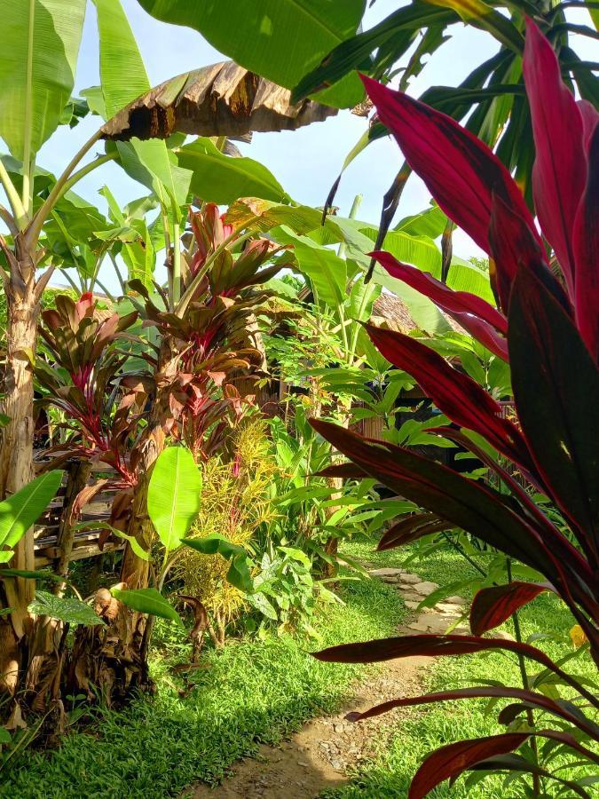 Banana Grove El Nido 호텔 외부 사진