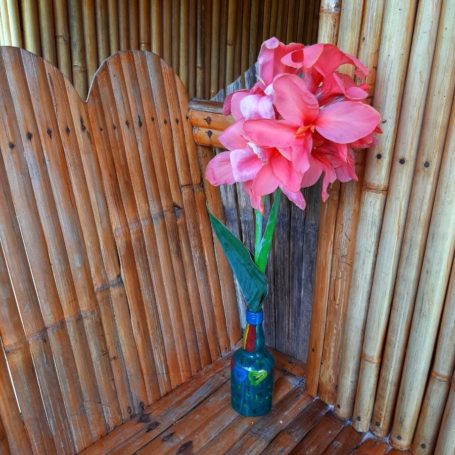 Banana Grove El Nido 호텔 외부 사진