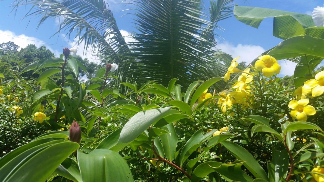 Banana Grove El Nido 호텔 외부 사진