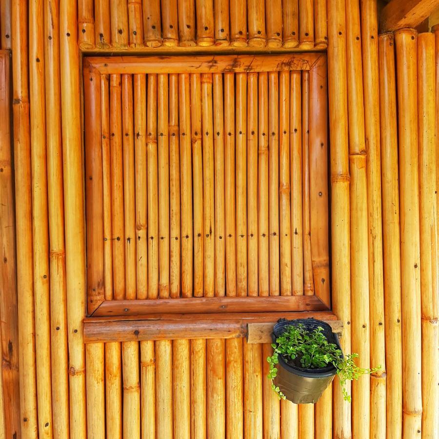 Banana Grove El Nido 호텔 외부 사진