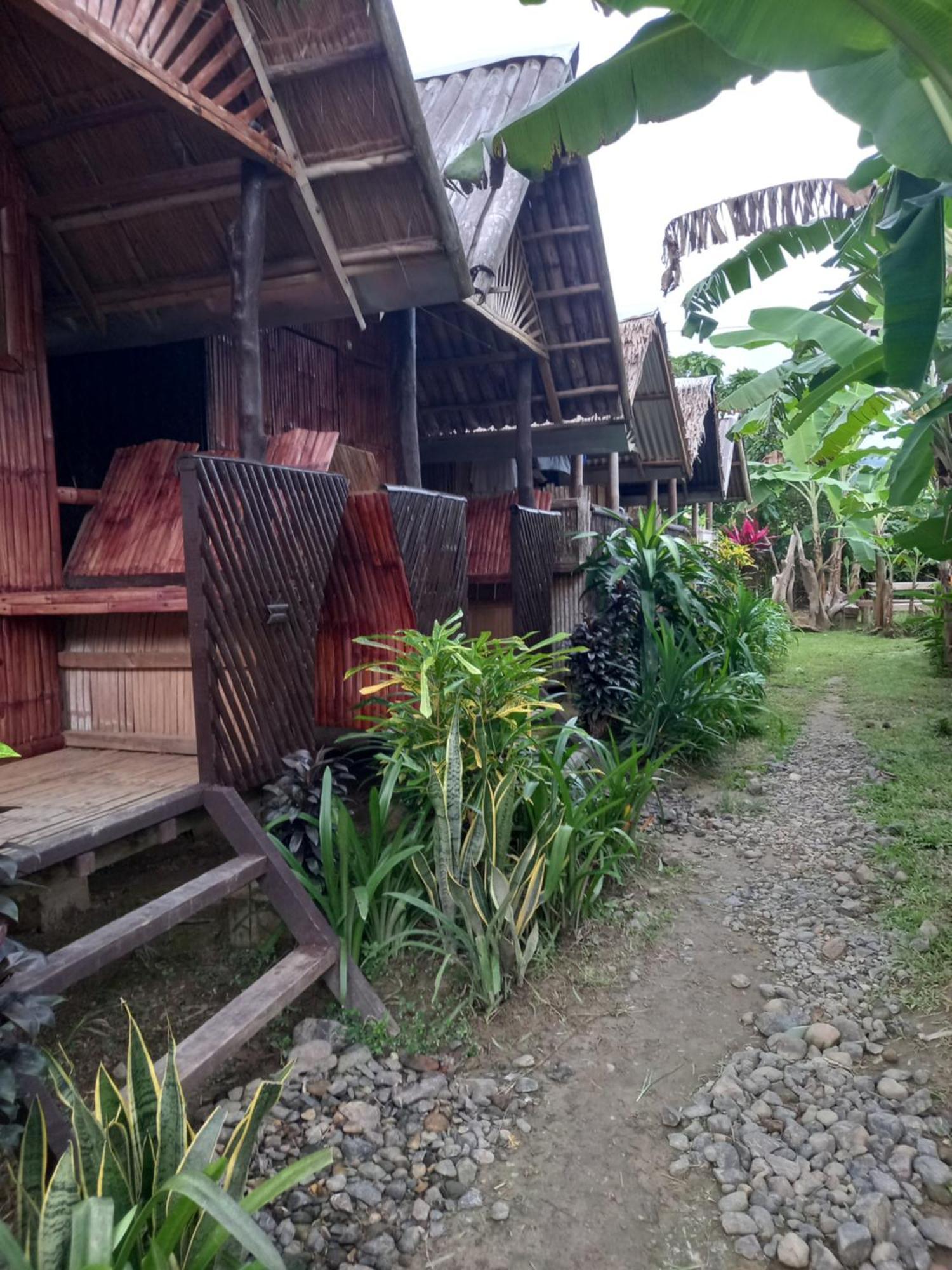 Banana Grove El Nido 호텔 객실 사진